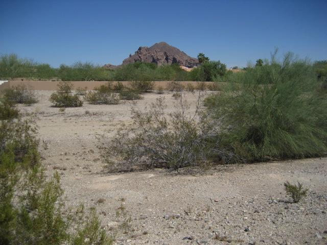 6021 N Palo Cristi Road 2 — photo 1