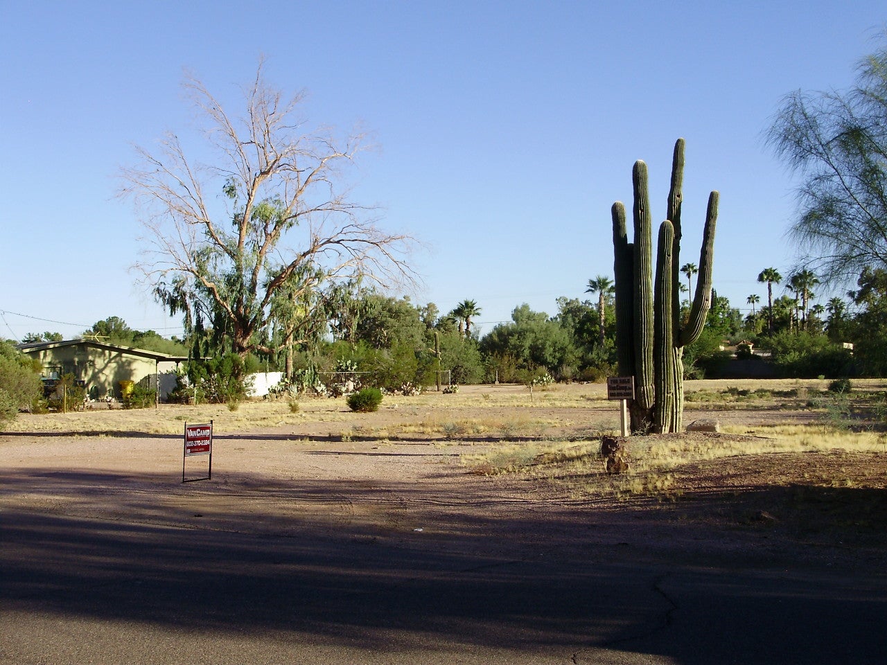Sunnyvale Lot