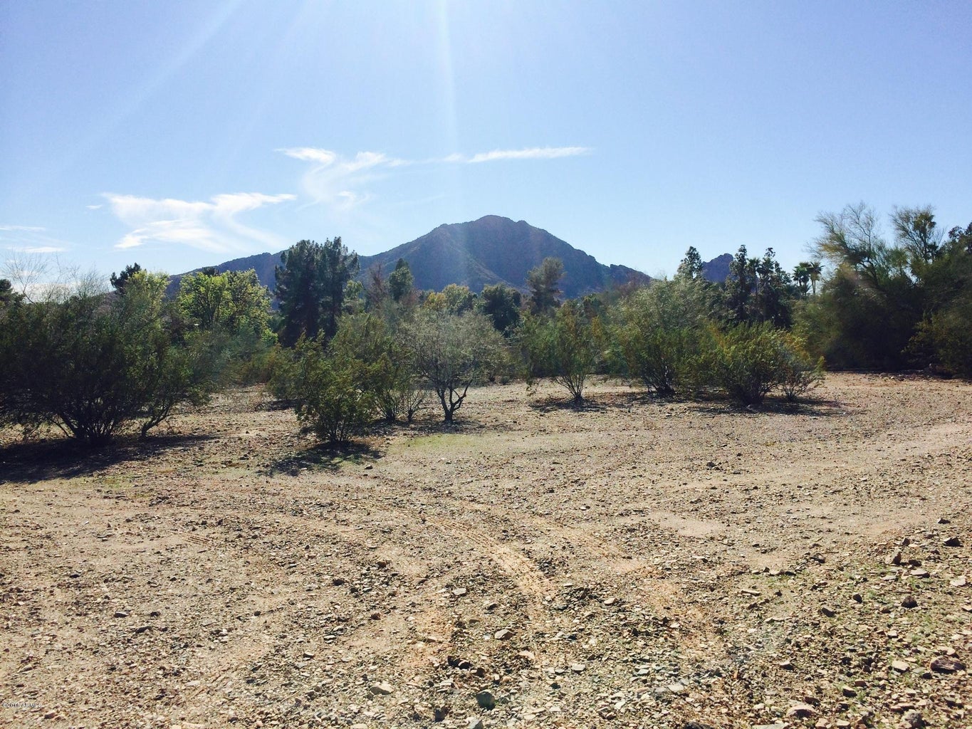 6430 E Cactus Wren Place 1