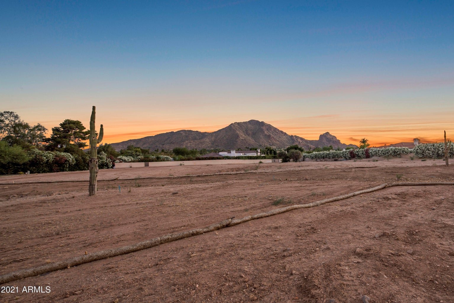 6145 E Cactus Wren Road -