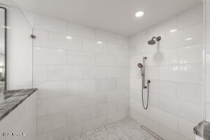 Primary Shower